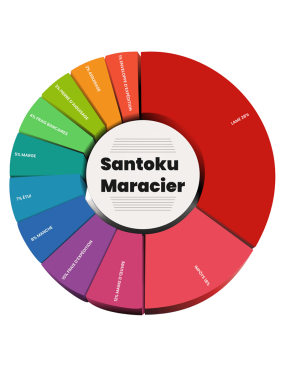 Santoku Maracier Brillant